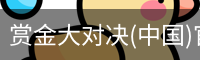 赏金大对决